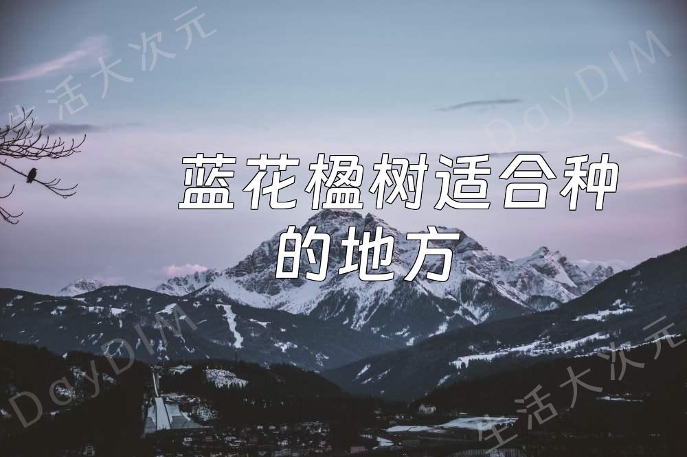 蓝花楹树适合种的地方